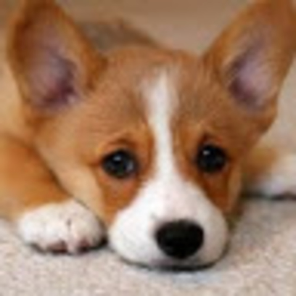 Meet your Posher, Stacee